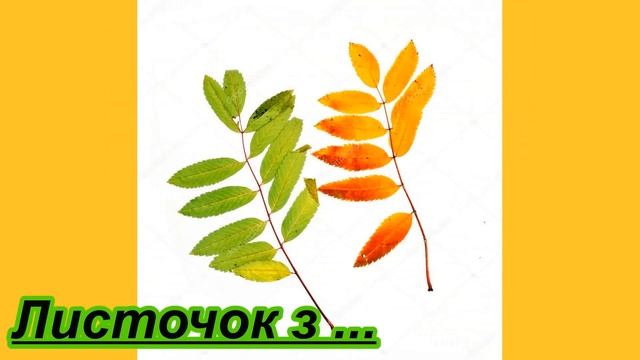 З якого дерева листочок? Дидактична гра смотреть онлайн