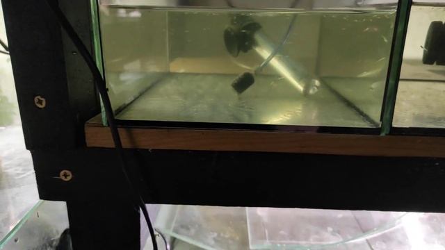 Первый стеллаж собран, и работаем с мальком. смотреть онлайн