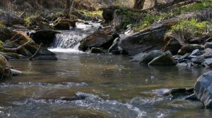 Видео и музыка для расслабления. Волшебная сила воды. Горная река. Алтай.