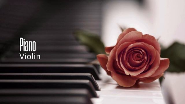 Howl’s Moving Castle Theme - Piano & Violin Cover