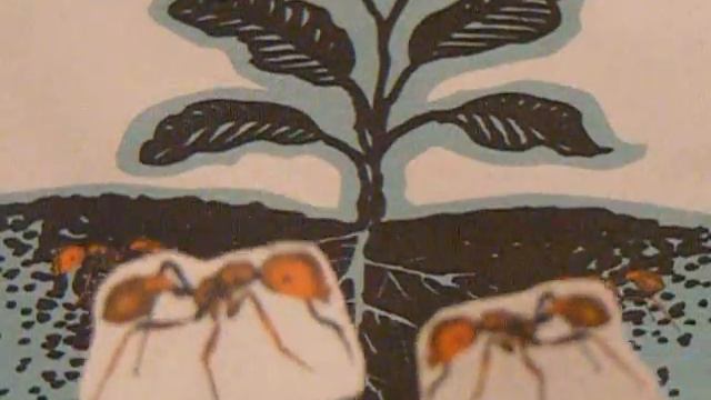 Haiku Diem: Days 47, 51, & 57 смотреть онлайн