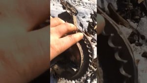 Колесо от  Восхода 2 на Китайський мопед  Альфа