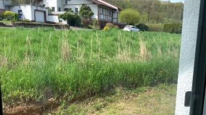 Дом в Германии, цена за ландшафтный дизайн