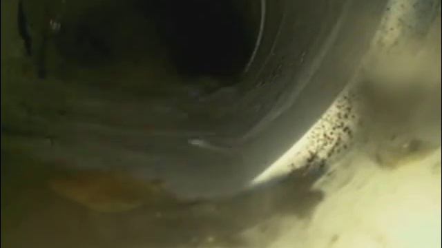 548 Gardenia (2) смотреть онлайн