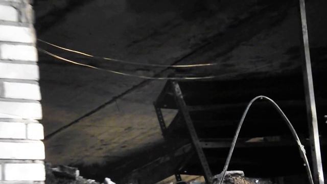 После пожара в зоомагазине Джунгли Архангельск 2013 After a fire in a pet shop Jungle Arkhangelsk