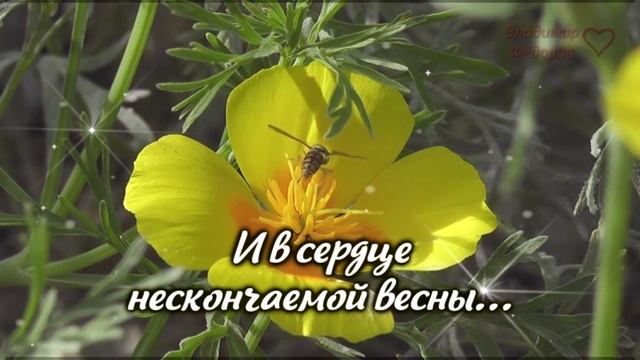 Прошу у Бога Счастья для Тебя! Трогательно до Слёз! Музыкальная Открытка! Читает Владимир Фёдоров
