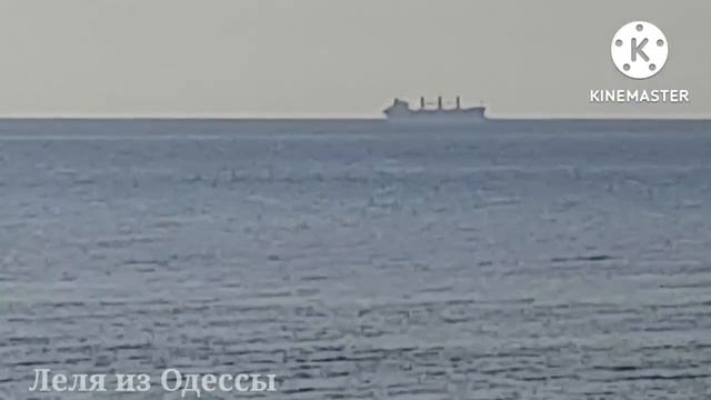 ОДЕССА ПРЯМО СЕЙЧАС! КОРАБЛЬ ПОДПЛЫЛ ОЧЕНЬ БЛИЗКО! ЭТО НАДО ВИДЕТЬ! 19 августа смотреть онлайн