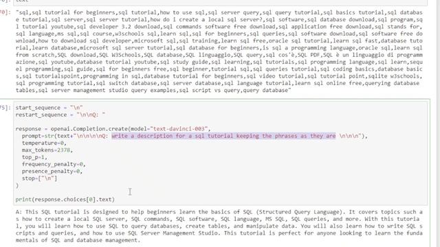 Python OpenAI GPT model to write a SEO Assistant