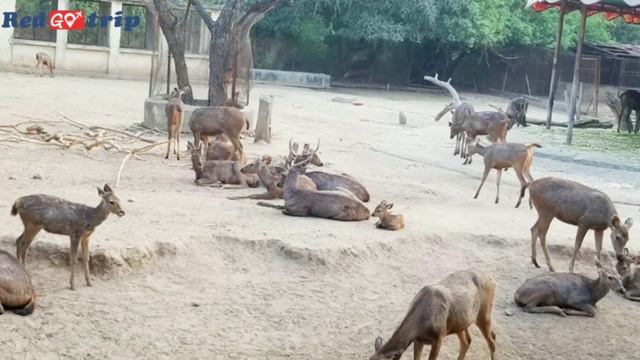 Aurangabad complete tour guide in hind l aurangabad tour plan l top 10 tourist places in aurangabad смотреть онлайн