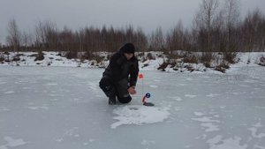 Что ставить на жерлицу леску или метал ? На что больше поклевок щуки