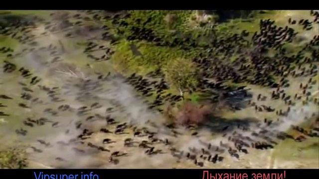 Дыхание земли
