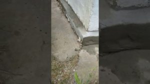 Отмостка по ГОСТУ СССР, Как Правильно и на Века Сделать Отмостку на Даче Дома Своими Руками...