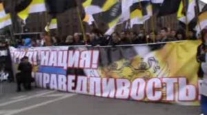 Русская молодежь 1 мая 2011г.