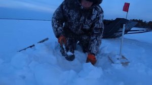 ЩУКИ ВСТАВАЛИ В ОЧЕРЕДЬ К ЭТОЙ ЖЕРЛИЦЕ. Рыбалка в ХМАО в январе.