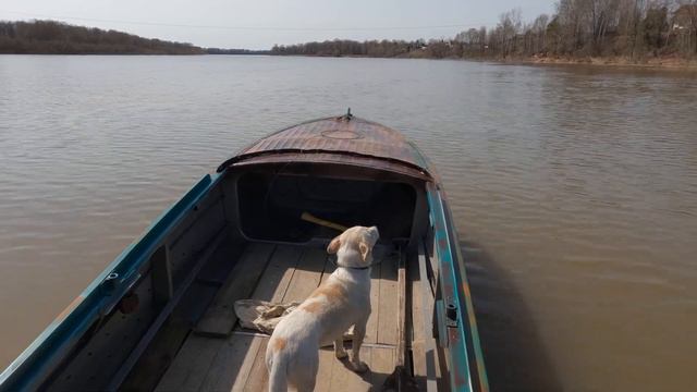 Бросил всё уехал в Деревню смотреть онлайн