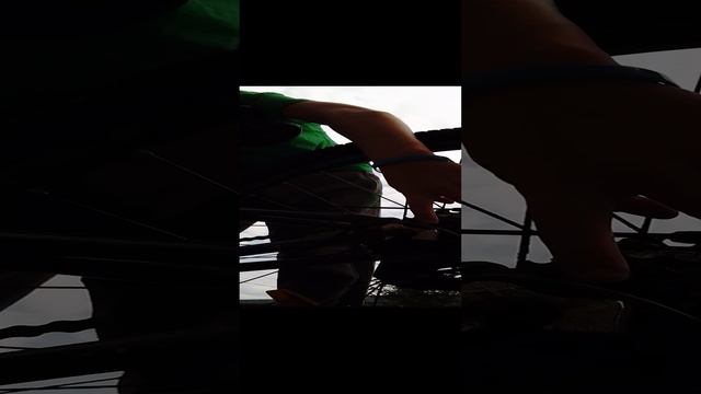На что надо смотреть при покупке велика