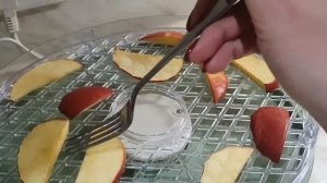 Обзор сушилки для овощей и фруктов Kitfort КТ-1902