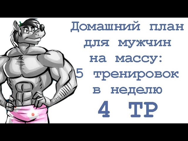 Домашний план тренировок для мужчин на массу: 5 тренировок в неделю (4 тр)