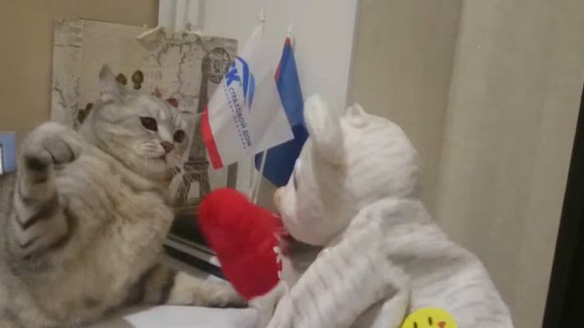 Mortal combat стиль ша фут фань смотреть онлайн