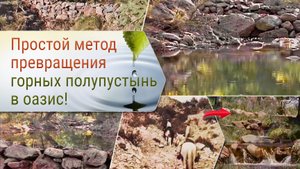 Простой метод превращения горных полупустынь в оазис!