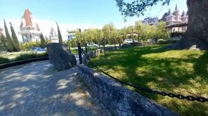 Тюльпановое дерево|Сочи|Головинка.
