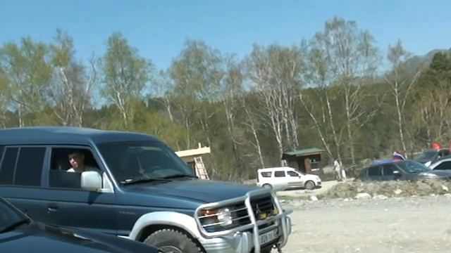 Весеннее путешествие по Алтаю: цветущий маральник.