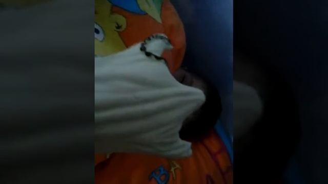 Прозрачный сон смотреть онлайн