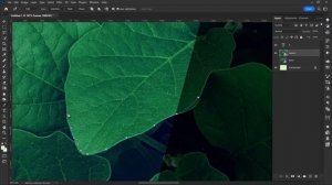 Creative Leaves Text Effect in Photoshop | Green Leaf [Easy Tutorial]