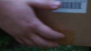 Нарколаборатории (2020)