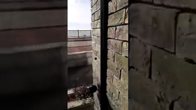 Пергола Выдвижная - ПАБ "Гарри Портер"  #ардизиякраснодар  #перголакраснодар  #перголасочи  #пергол смотреть онлайн