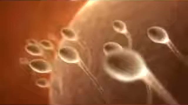 Вот так рождаются бабники смотреть онлайн