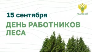 Поздравление руководителя Рослесхоза Ивана Советникова с Днем работников леса 2024