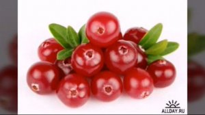 Песня Между нами любовь!