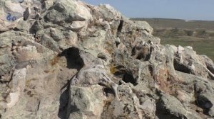 Камышин. Горы Уши с доисторическими животными.