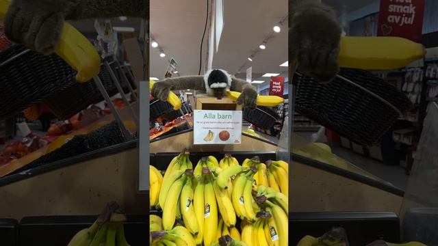 Free Banana from Monkeystrikes