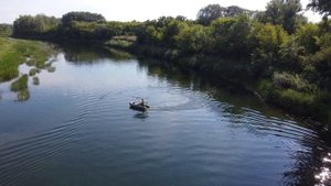 Электрическая лодка на солнечных батареях. Бензин не кончится никогда.