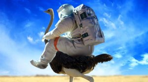 УКРОТИТЕЛЬ СТРАУСОВ