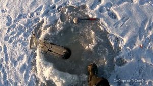 Рыбалка на оз.Чаны Рыбалка в Сибири