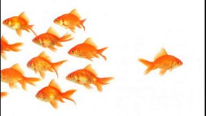 Конформизм и нонконформизм