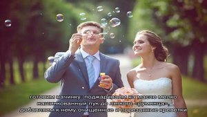 Бутерброды и закуски на свадебный стол