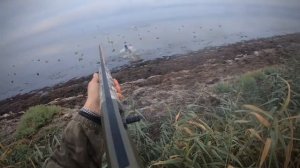 Охота на утку в Крыму! Парочку охот за октябрь.