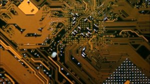 SCP - 003 Биологическая материнская карта