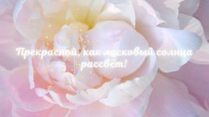 С днём рождения! Музыкальная открытка с нежными пионами и красивыми пожеланиями