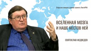 Вселенная мозга. Святослав Медведев