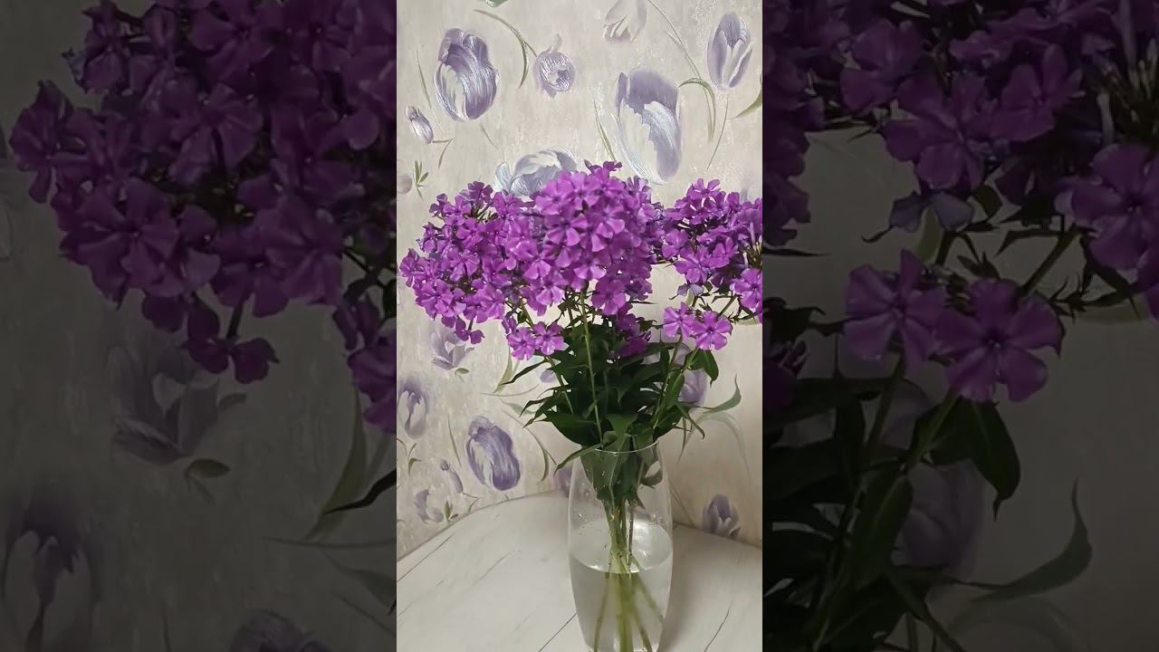 Флоксы метельчатые. Цветы без повода. Цветы в вазе. Букет.