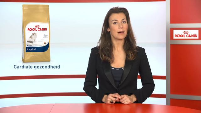 Ragdoll смотреть онлайн