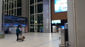 Смена аэропорта в Стамбуле . С нового  İstanbul Havalimanı до  Sabiha Gökçen.