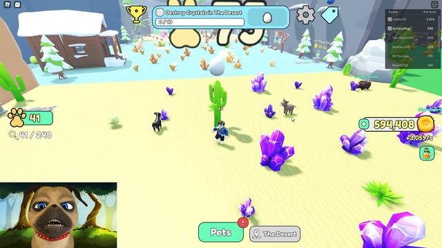 Pet Score From 1 To 500 In Roblox Collect All Pets! смотреть онлайн