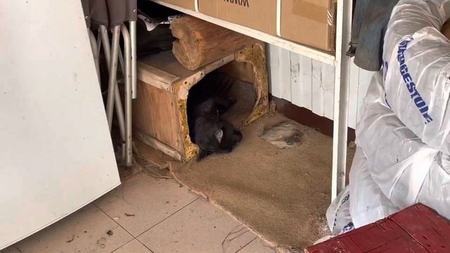 ? Агава приехала в сад смотреть онлайн