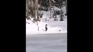 ГАРРИ ПОТТЕР ?